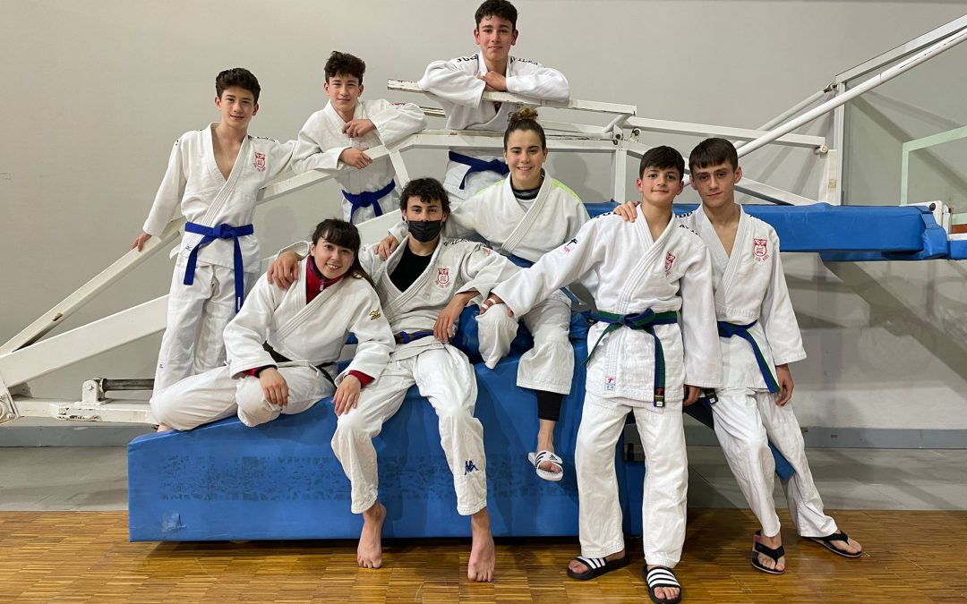 A un paso de la gloria: ocho integrantes del Judo Club Avilés preparan el Campeonato de España Infantil y Cadete