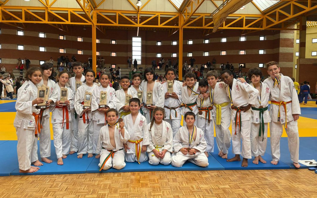 Lluvia de medallas para el Judo Club Avilés en el Campeonato de Asturias Alevín
