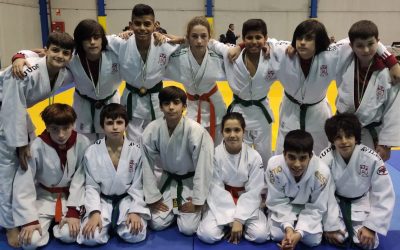 La expedición de Judo Club Avilés culmina el primer circuito puntuable para el campeonato de España con 12 medallas