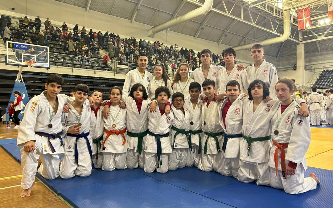 El campeonato de Asturias Infantil y Cadete, última prueba de fuego para Judo Club Avilés
