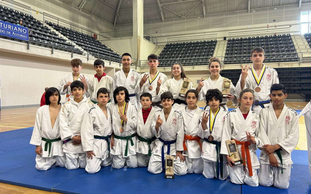 Balance insatisfactorio para Judo Club Avilés en el campeonato de Asturias Infantil y Cadete