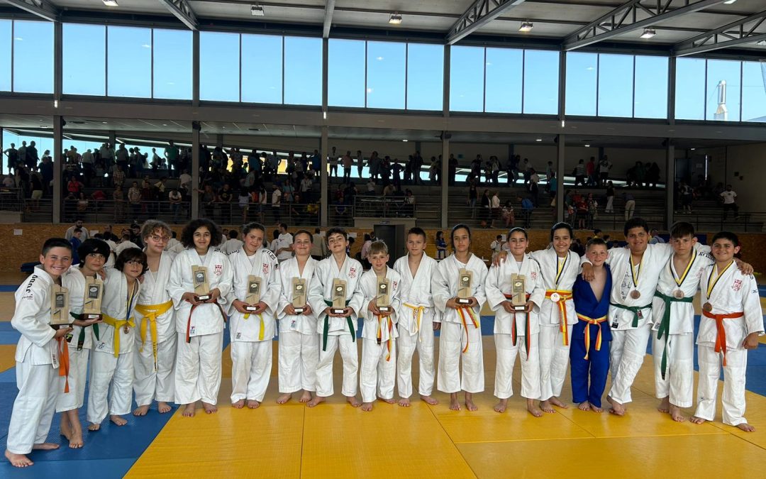 Los alevines de Judo Club Avilés cierran el calendario regional certificando el dominio de una generación con 17 medallas