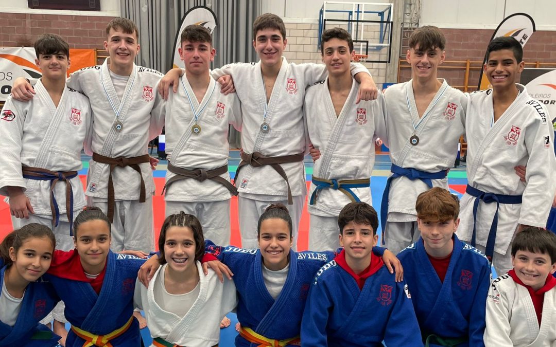 Judo Club Avilés obtiene un botín de 10 medallas en la competición de Oleiros
