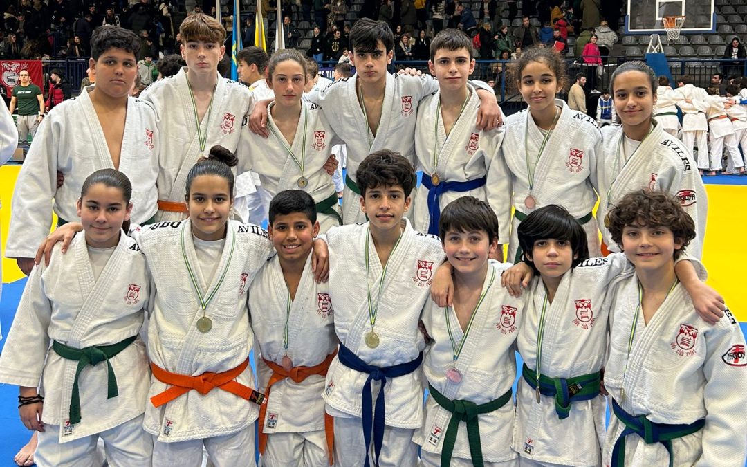 16 medallas, buen botín de Judo Club Avilés en el II Ranking Infantil y Cadete de Asturias, “aunque no suficiente”