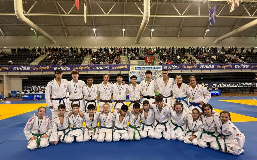Judo Club Avilés lidera el medallero del campeonato de Asturias Infantil y Cadete con 18 metales